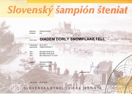 Slovak puppy champion